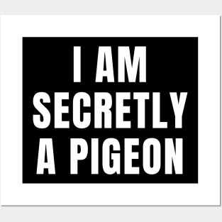 I AM SECRETLY A PIGEON Posters and Art